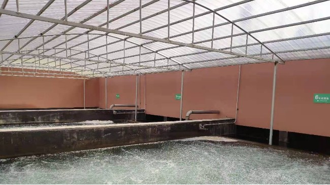 博取COD、氨氮及總磷分析儀應(yīng)用于江西農(nóng)村污水廠(chǎng)水質(zhì)的監(jiān)測(cè)